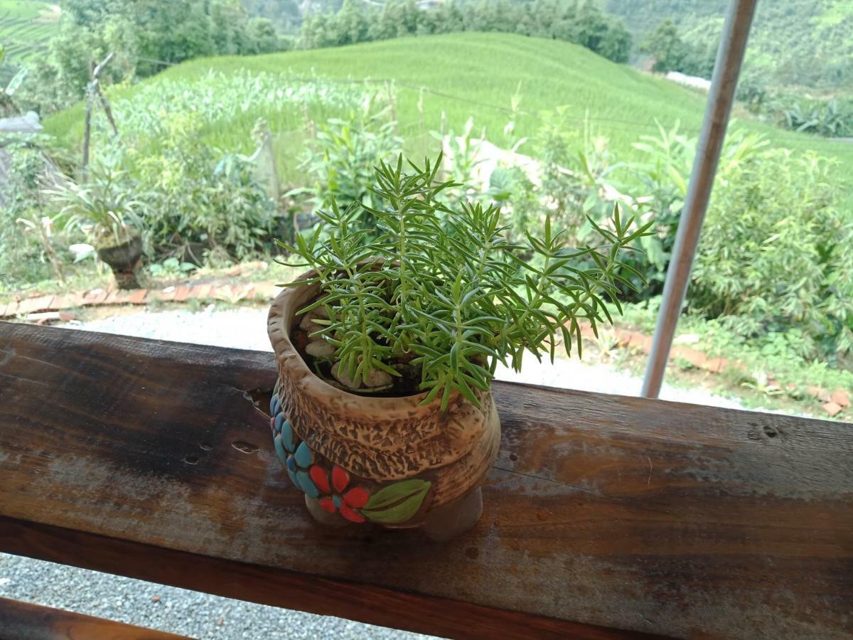 My'S Homestay Sapa Екстериор снимка