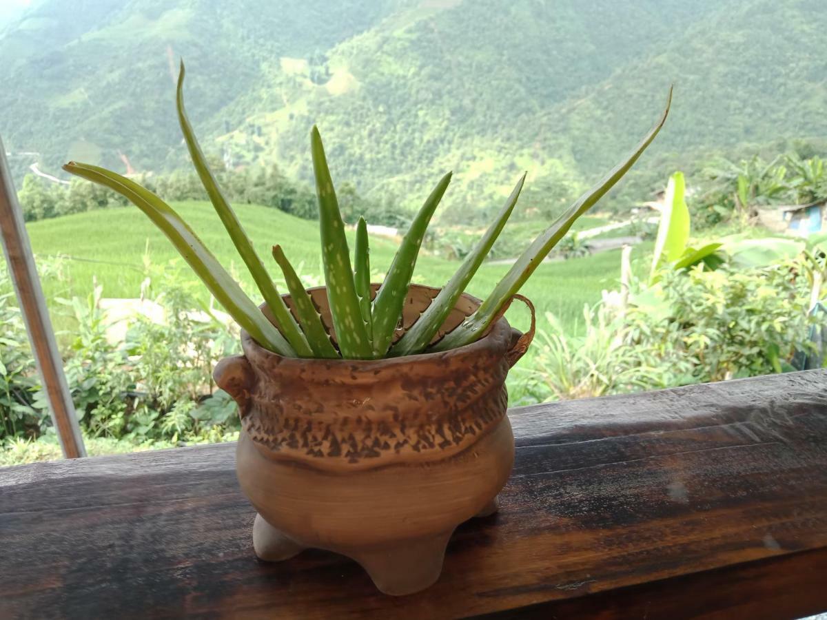 My'S Homestay Sapa Екстериор снимка